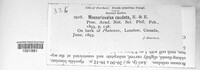 Image Associated With the Occurence